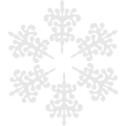 SNOKEFLAKE-END-PAGE